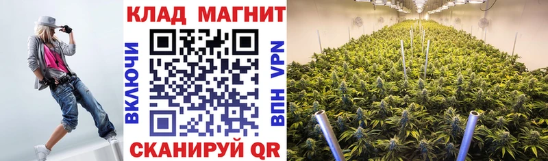 Купить Дагестанские Огни Вейп ТГК Cocaine ГАШИШ Канабис Псилоцибиновые грибы