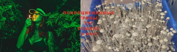 MDMA Беломорск