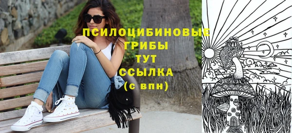 бошки Сосновка