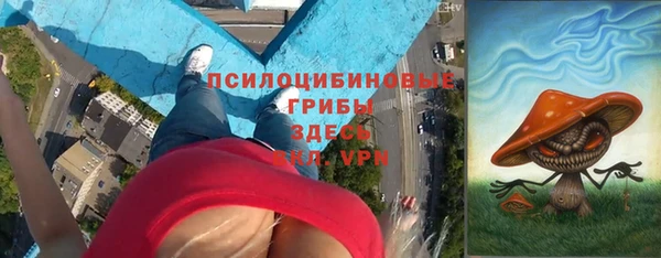 Альфа ПВП Белокуриха